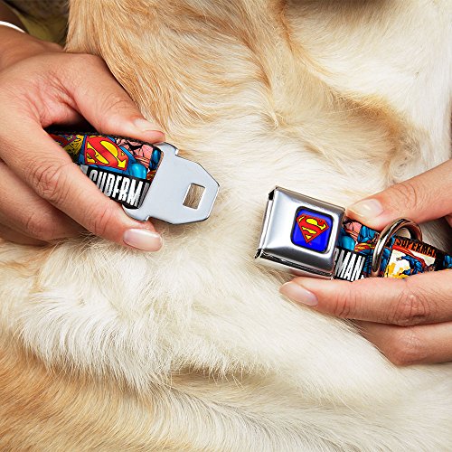 Buckle-Down 11-17" SUPERMAN Action Blocks White Dog Collar, Medium