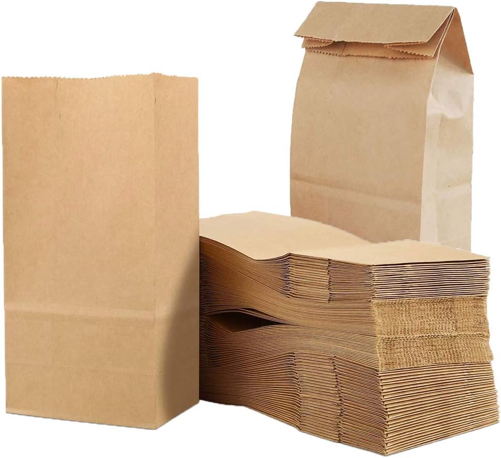 100 Pieces 9 x 17 x 5 cm Small Kraft Paper Bags for Gift Bags Party Food Snacks Fruit Tea Coffee Cookies (Brown)