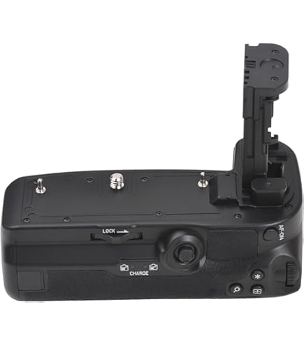 Canon Battery Grip BG-E11 for Canon EOS 5D Mark III : Amazon.ca