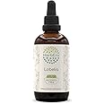 Lobelia B120 Alcohol-Free Herbal Extract Tincture, Concentrated Liquid Drops Natural (Ban Bian Lian, Lobelia spp.) (4 fl oz)