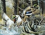 Ducks Unlimited Beaver Pond Tin Sign Tin Sign , 16x13