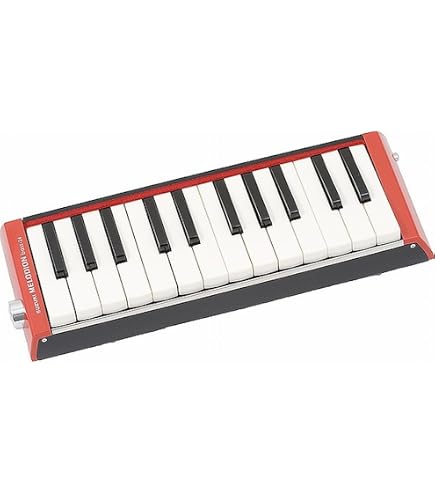 Amazon.com: HAMMOND BB PRO-24B Bass Melodica : Musical Instruments