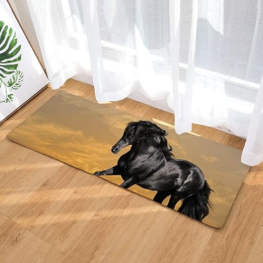 dog foot cleaning mat