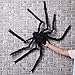 yosager 4Pcs Realistic Giant Spiders Outdoor Halloween Decorations, Huge Hairy Scary Halloween Spider Prop, Black Spooky Spider for Indoor House Outdoor Window Yard Patio Decor (24