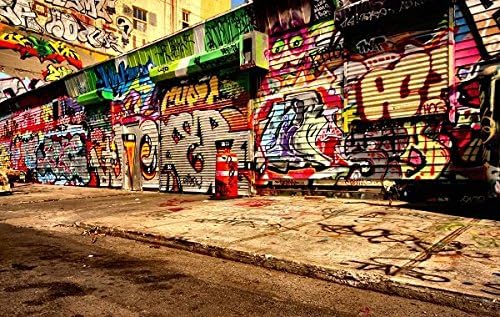 graffiti art on walls - Print on Canvas 24x16inch: Unframed