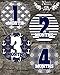 Nautical Baby Monthly Stickers - Great Shower Gift or Scrapbook Photo Keepsake