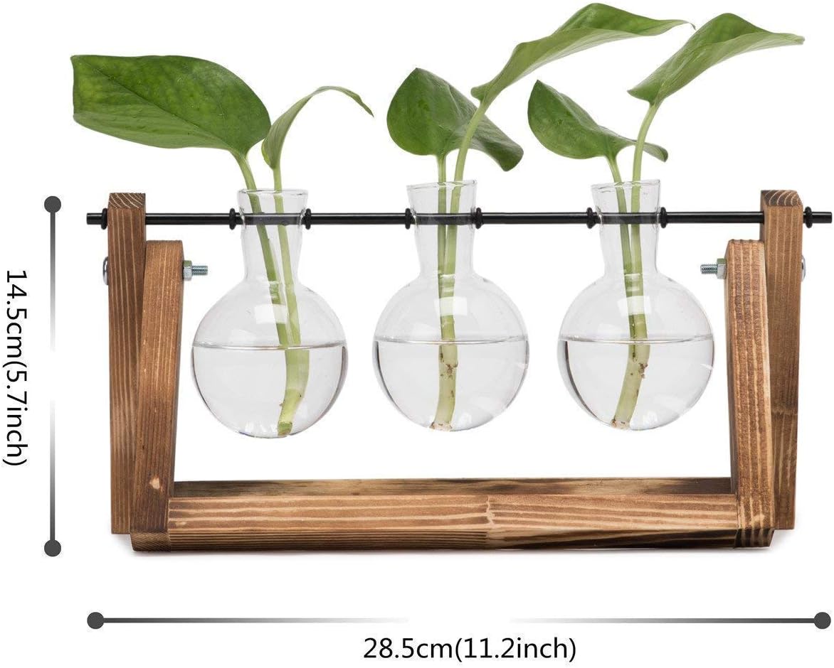 HYINDOOR Desktop Plant Terrarium Glass Planter Bulb Vase with Retro Solid Wooden Stand and Metal Swivel Holder for Hydroponics Plants Home Garden Wedding Decor: Garden & Outdoor