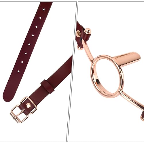 Жағажайда пискаларды жалап жатыр