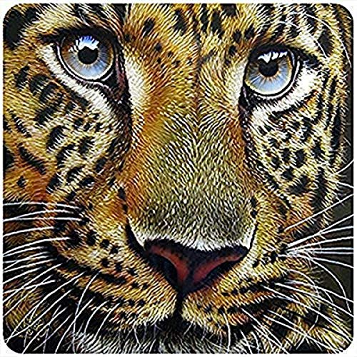 Leopard Face Novelty Sign | Indoor/Outdoor | Funny Home Décor for Garages, Livi…
