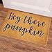 Ruiyida Hey There Pumpkin Doormat Custom Home Living Decor Housewares Rugs and Mats State Indoor Gift Ideas 23.6 by 15.7 Inch Machine Washable Fabric Top (One Pack)