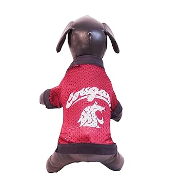 notre dame dog toys