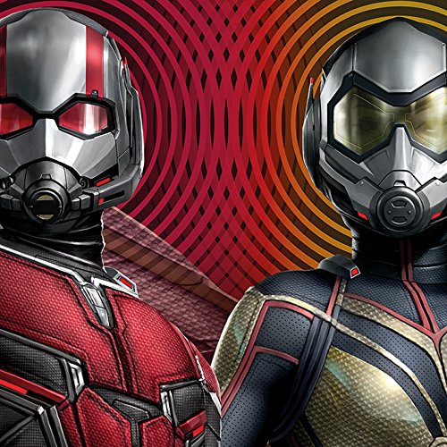 Marvel Comics Ant-Man And The Wasp (Trippy) 40 x 40cm Canvas Print