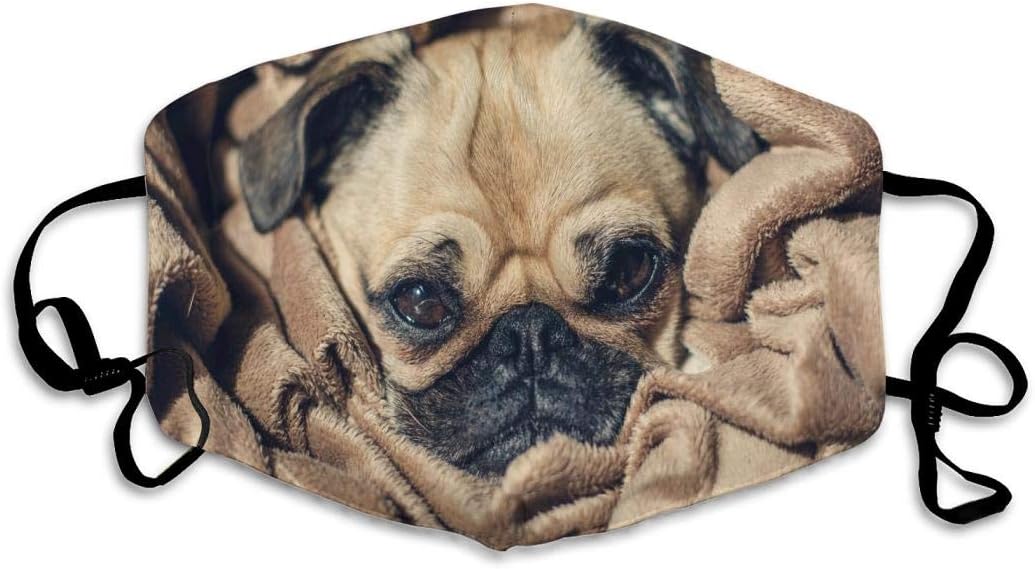 Soft Unisex cute pug Print Face Masks For Outdoor Mouth Mask Adjustable Face Mask - Reusable Washable Facial Masks