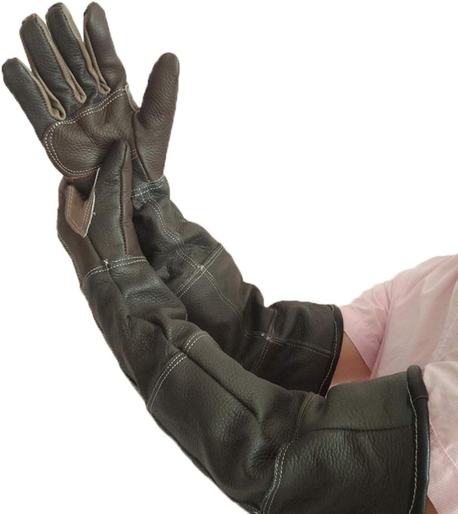 protective gloves for dog training