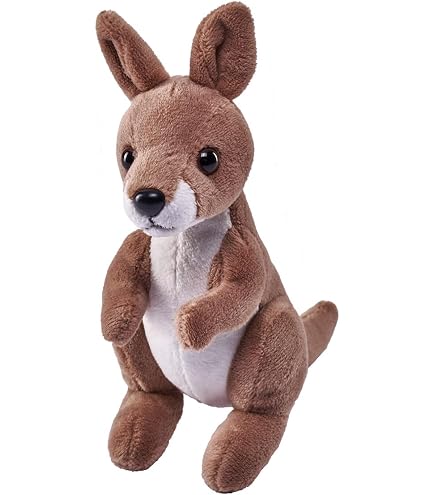 Amazon.com: Aeisage Kangaroo 5'' Plush Toy with Boomerang, Super