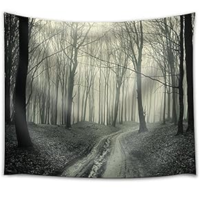 Path Passing Through a Dark Forest Covered in Fog - Fabric Tapestry, Home Decor - 51x60 inches