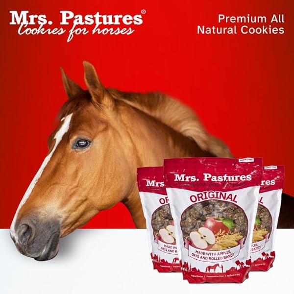 MRS PASTURES COOKIES AND TREATS FOR HORSES – PREMIUM HORSE TREATS – MADE WITH APPLES, OATS, AND ROLLED BARLEY – PRESERVATIVE FREE – ALL NATURAL INGREDIENTS – NO CORN OR SOY – MADE IN USA – (5LB BAG)