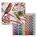 eeBoo Birds with Berries Colored Pencils in Tin Case, Set of 24, 1 ea (EB-PNBER)