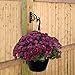 Gray Bunny 2 Pack Outdoor Plant Hanger Hook, 6” Large Victorian Heavy Duty Iron Wall Hooks for Bird Feeders, Lanterns, Wind Chimes, Patio Decor - Black, Christmas Wreath, Outdoor Decorations