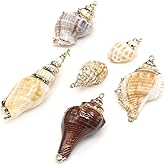 QSLLER 15pcs Natural Shell Pendants Spiral Shell Pendants Conch Shell Beach Cowrie Sea Shells Charms Jewelry Charms Ocean Beach Dangle Beads for Nautical Ocean Summer Jewelry Craft Making Home Decor
