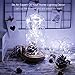 String Lights, CrazyFire LED Fairy String Light 33ft 100 LEDs Waterproof Decorative Starry Lights for Bedroom, Patio, Parties (Copper Wire Lights, Cool White)
