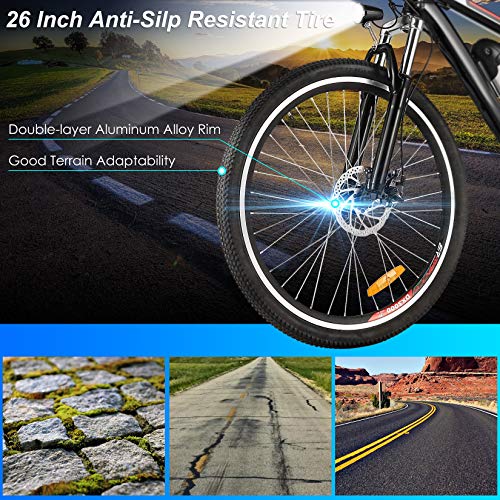 aceshin electric bike