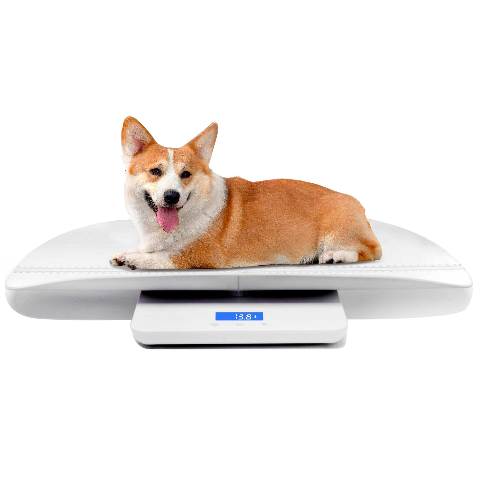 MINDPET-MED Digital Pet Scale, Baby Scale, with 3