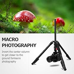 MACTREM Professional Camera Tripod with Phone