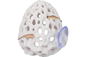 Penitue Shrimp Hides for Aquarium, Multi-Hole Shrimp Dome Hide with Suction Cup Coral Design Betta Fish Toys Fish Tank Accessories for Guppy and More Hiding Resting (White)