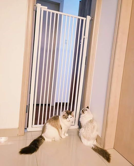 cat gate indoor tall