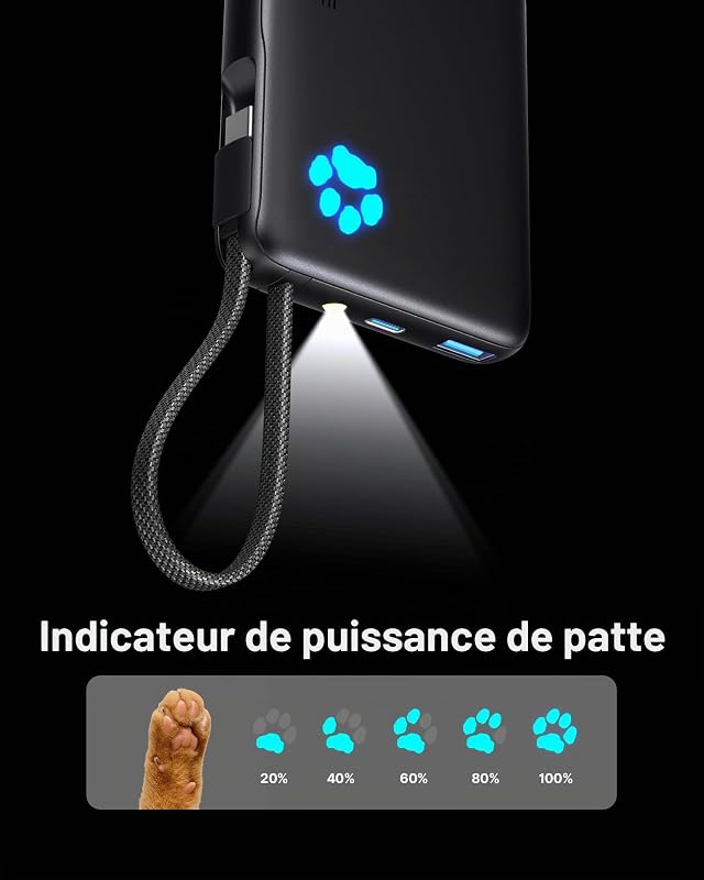 45W Batterie Externe, 10000mAh Power Bank avec USB C Câbles Intégrés