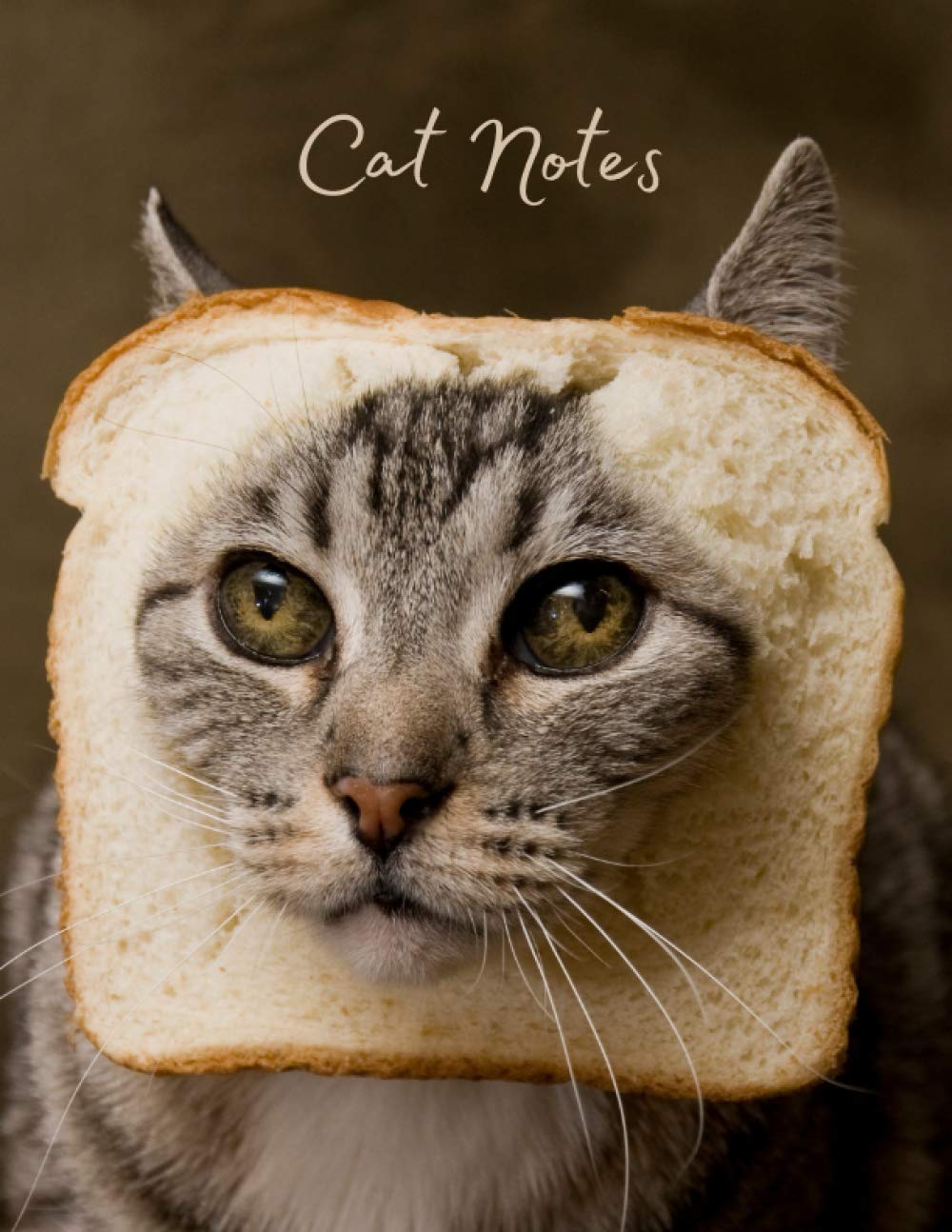 Notebook: Cat Notes, Funny Journal, Diary and Compotition Book. 100 lined pages - 8.5''x 11''. Ideal for Kids, Students, Teens and Adults