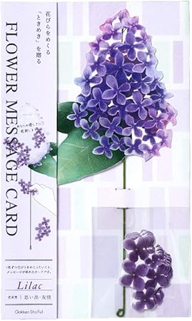 Amazon 学研ステイフル メッセージカード 多目的 フラワーカード ライラック E 文房具 オフィス用品 文房具 オフィス用品