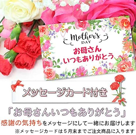 Amazon 母の日 プレゼント 実用的 ギフト 早割 誕生日プレゼント 母親 60代 50代 カーネーション 花 雑貨 カーネーション鉢 レッド 花 観葉植物 フラワーギフト オンライン通販