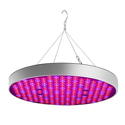 Amazon Com Mxl 50watts Us Plug Led Plant Grow Lights Shengsite