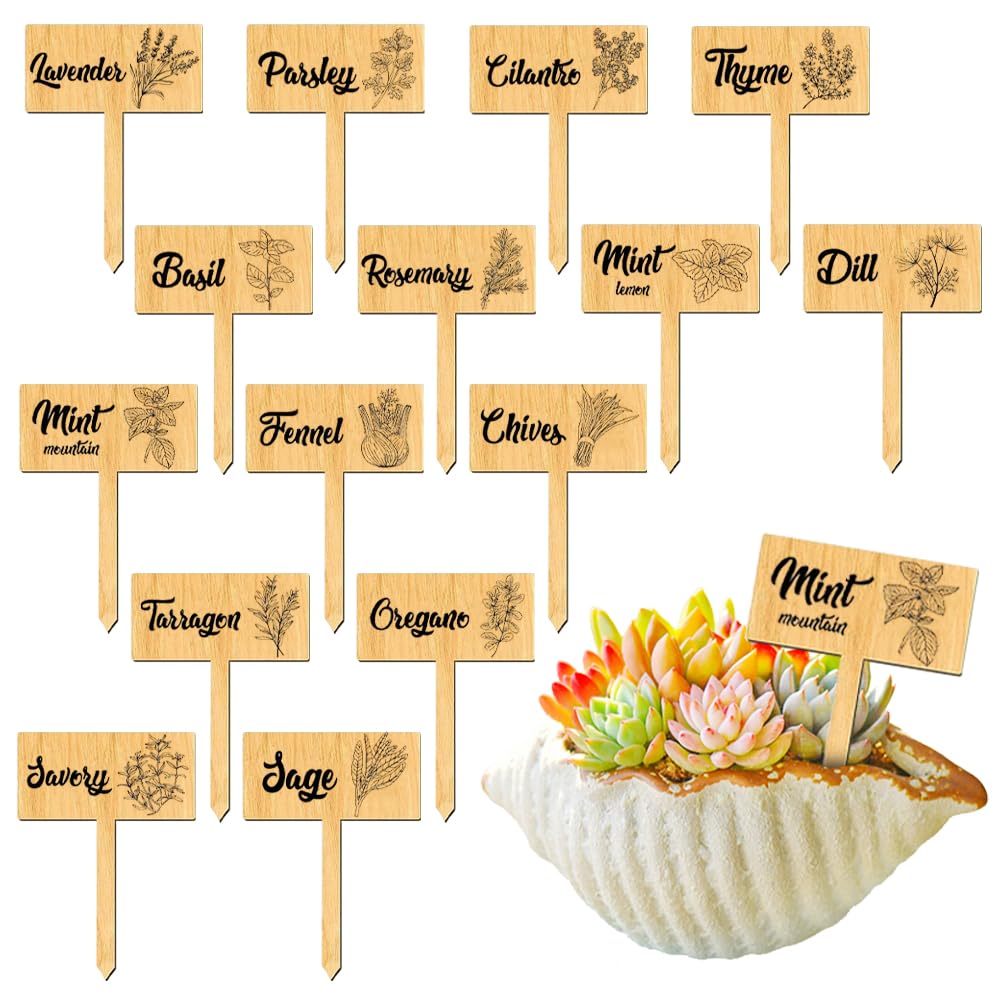 arricraft 15 Pcs Plant Herb Labels, Wooden Herb Markers T Type Tags Garden Labels with Printed Herb Name Wood Garden Stakes for Indoor and Outdoor Potted Seed Herbs