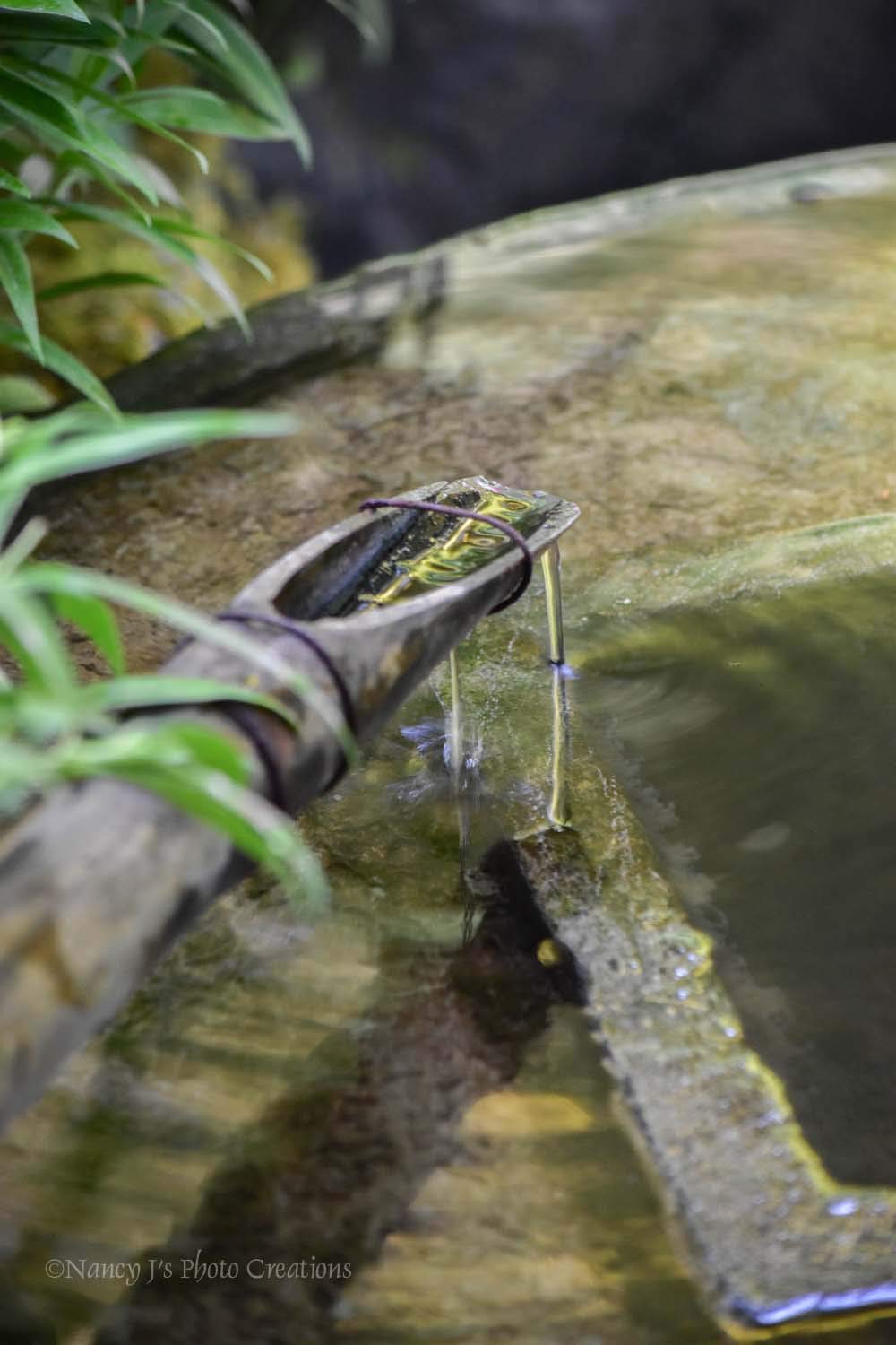 Amazon Com Japanese Garden Bamboo Fountain Garden Photo Unframed