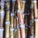 New Red Green Sugarcane Mixed 100+ Seeds