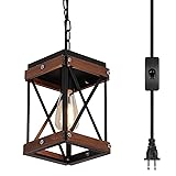 Fivess Lighting Rustic Farmhouse Plug in Pendant