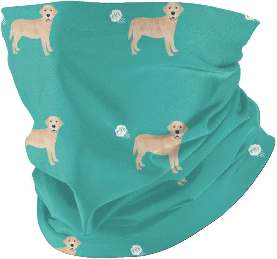 Yellow Lab - Toalla facial para perro con diseño de pedo, color verde