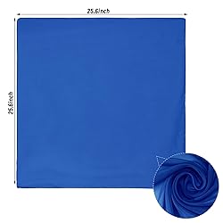 Pistha Chiffon Scarf Ribbon Neck Scarf Square