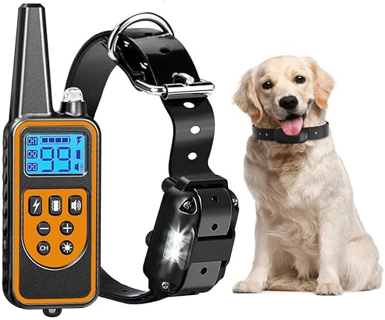 bark and training collar in one