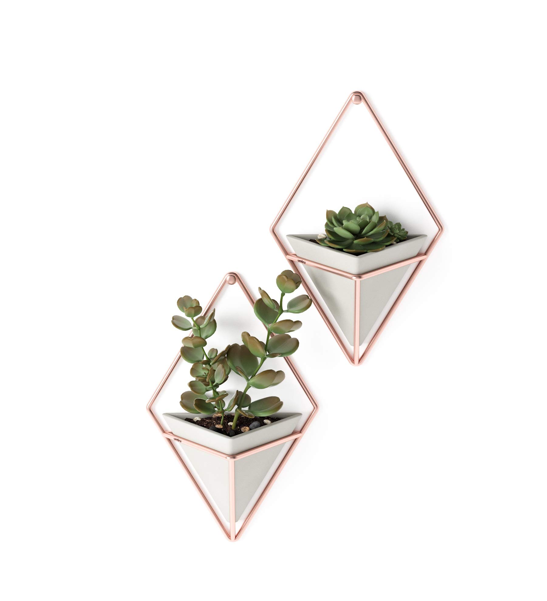 Umbra Trigg Hanging Planter Vase & Geometric Wall Decor