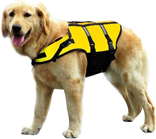 frontline plus for dogs orange