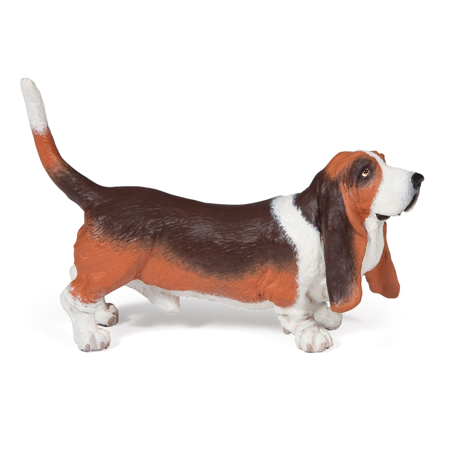 PAPO Basset hound