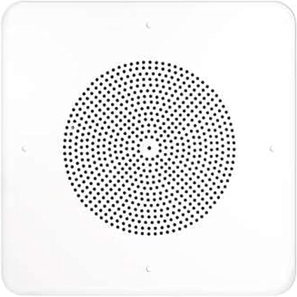 Amazon Com Speco G86tg1x1 1 X1 G86 Ceiling Tile Speaker Home