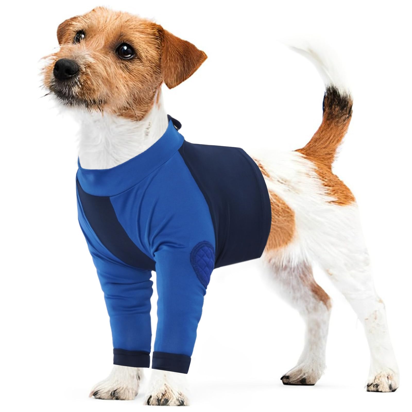 LeLePet Dog Recovery Suit for Front Legs, Dog Surgery Recovery Suit Female Male, Pet Leg Wound Protector After Surgery, Elbow Protector, Front Leg Sleeve to Prevent Licking, Blue S — image 1