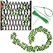 YOUYOUTE Artificial Ivy, 12 Pack Fake Ivy Plant Vine Leaf Leaves Greenery Garlands Hanging (Each 80 inch) for Wedding Party Garden Wall Decoration with Cable Ties (12)