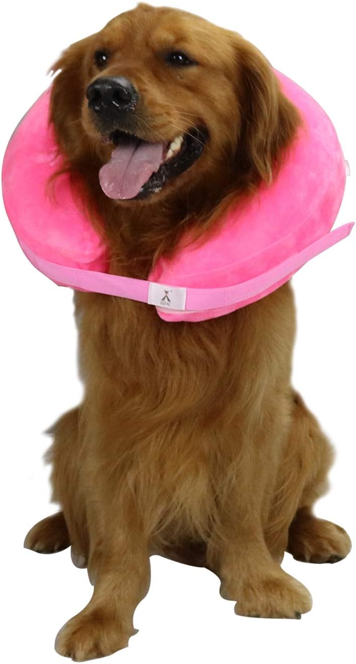 elizabethan dog cone