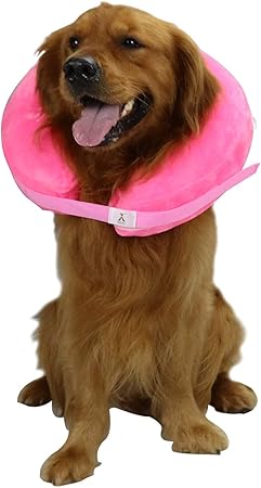 blow up dog collar amazon